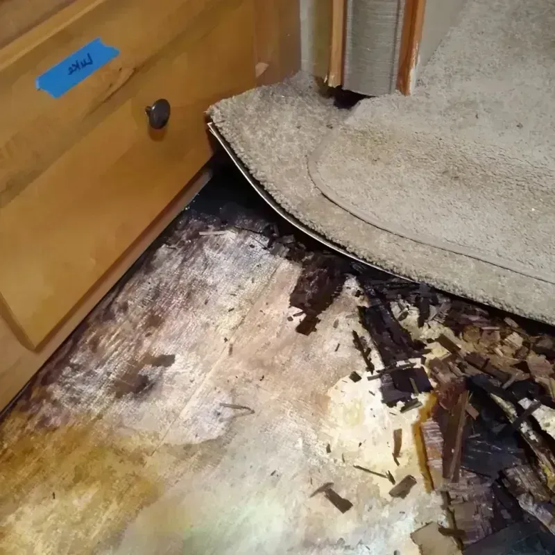 Best Wood Floor Water Damage Service in Bristol, IN